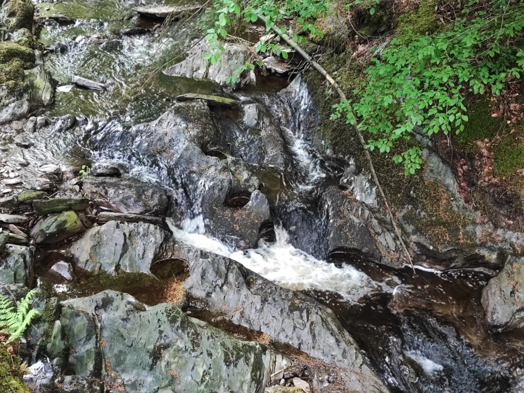 Wales Tag 14 – Hafod Estate