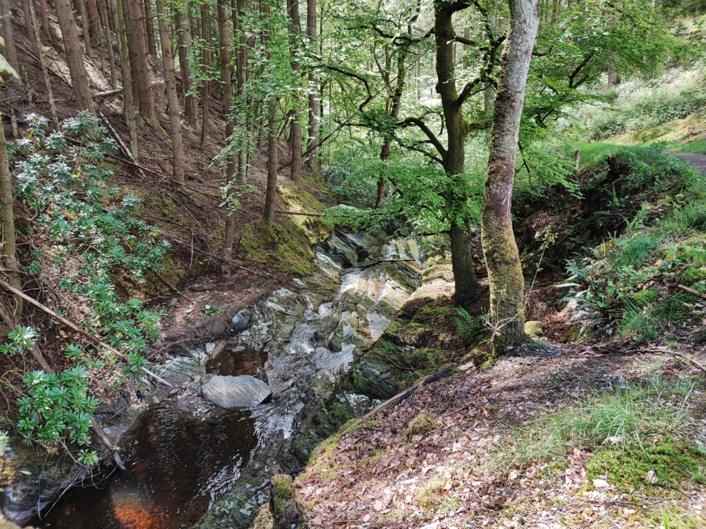Wales Tag 14 – Hafod Estate