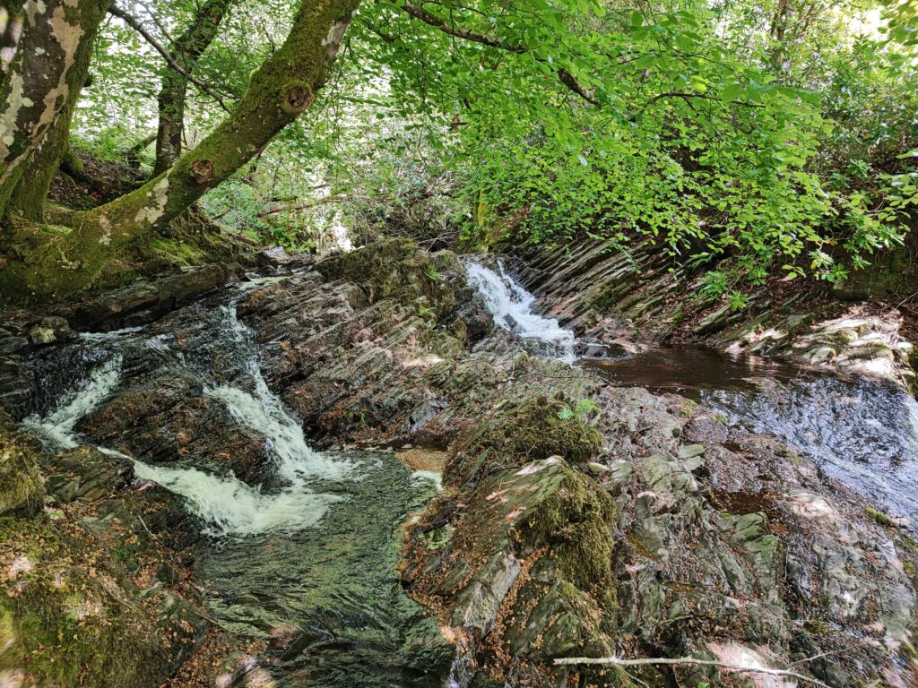 Wales Tag 14 – Hafod Estate