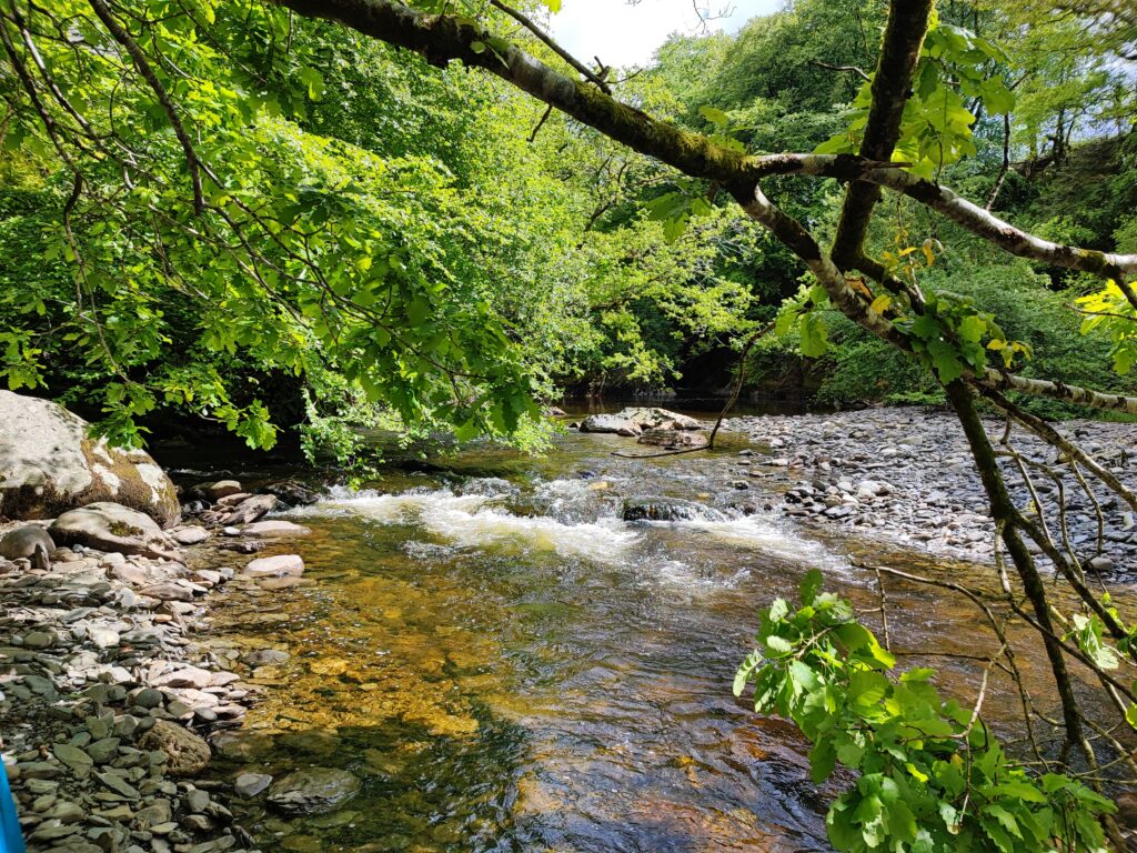 Wales Tag 14 – Hafod Estate