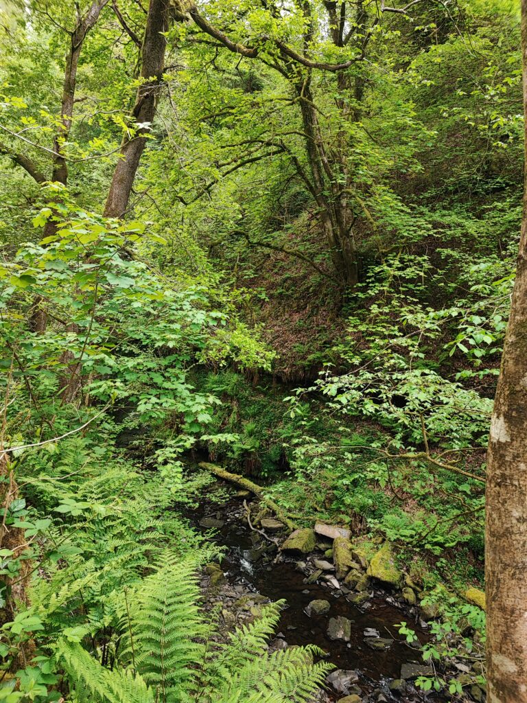 Wales Tag 7 – Henrhyd Falls