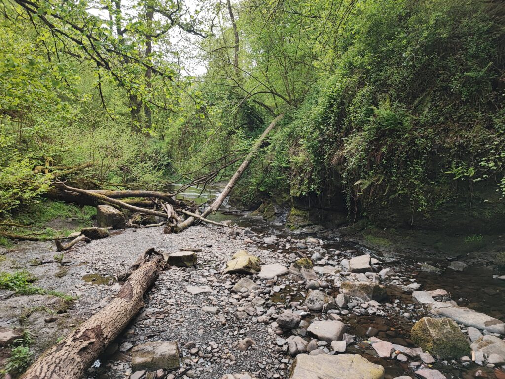 Wales Tag 7 – Henrhyd Falls