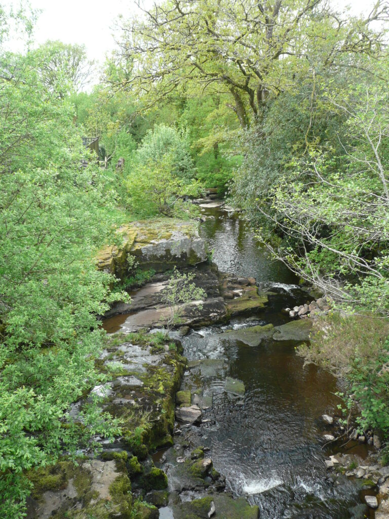 Wales Tag 7 – Henrhyd Falls