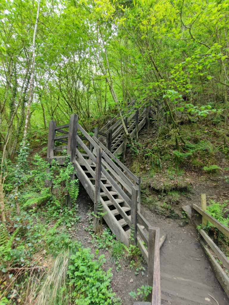 Wales Tag 7 – Henrhyd Falls
