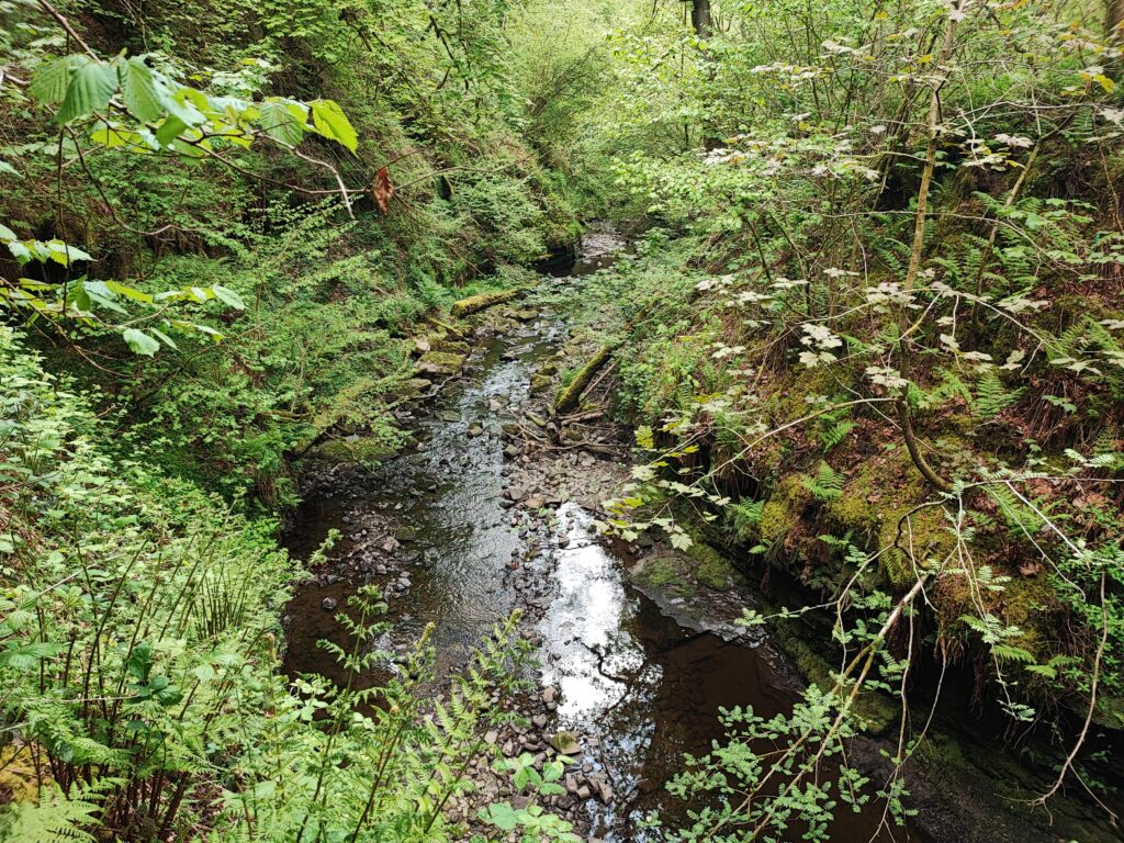 Wales Tag 7 – Henrhyd Falls