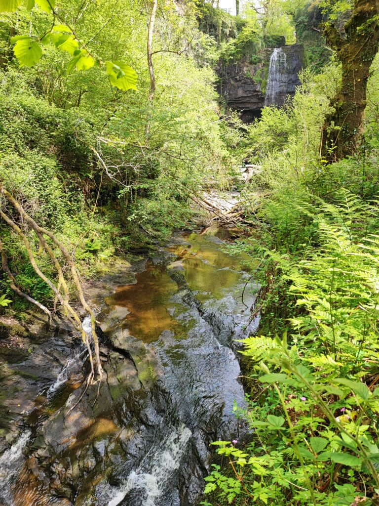 Wales Tag 7 – Henrhyd Falls