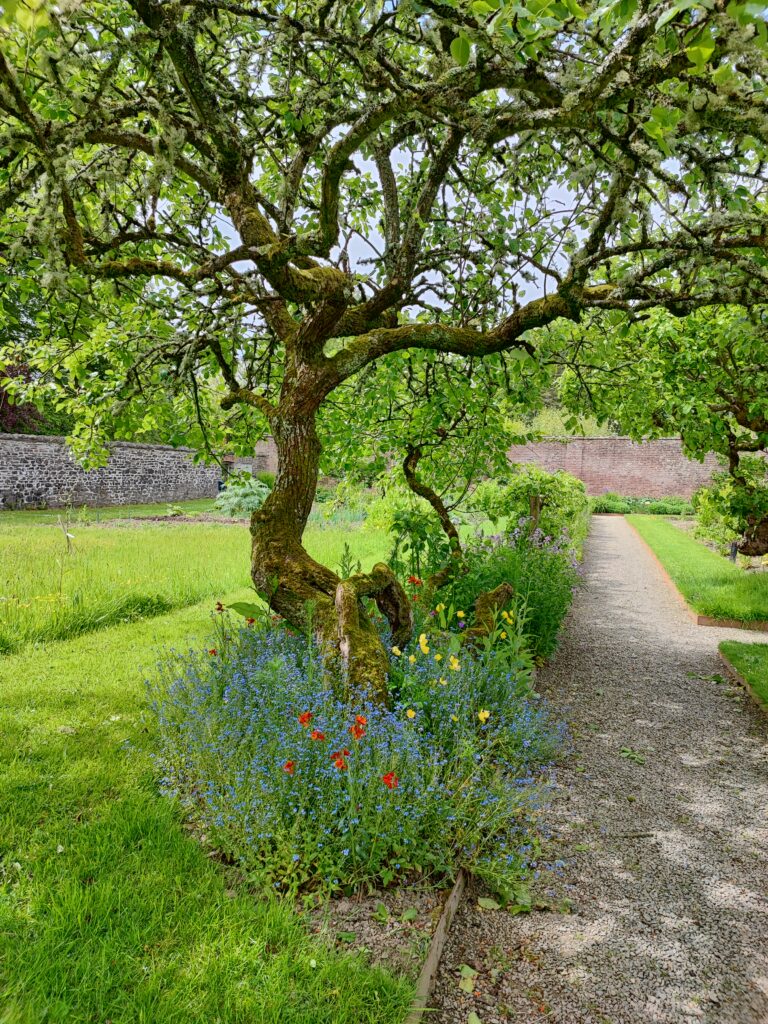 Wales Tag 13 – Llanerchaeron