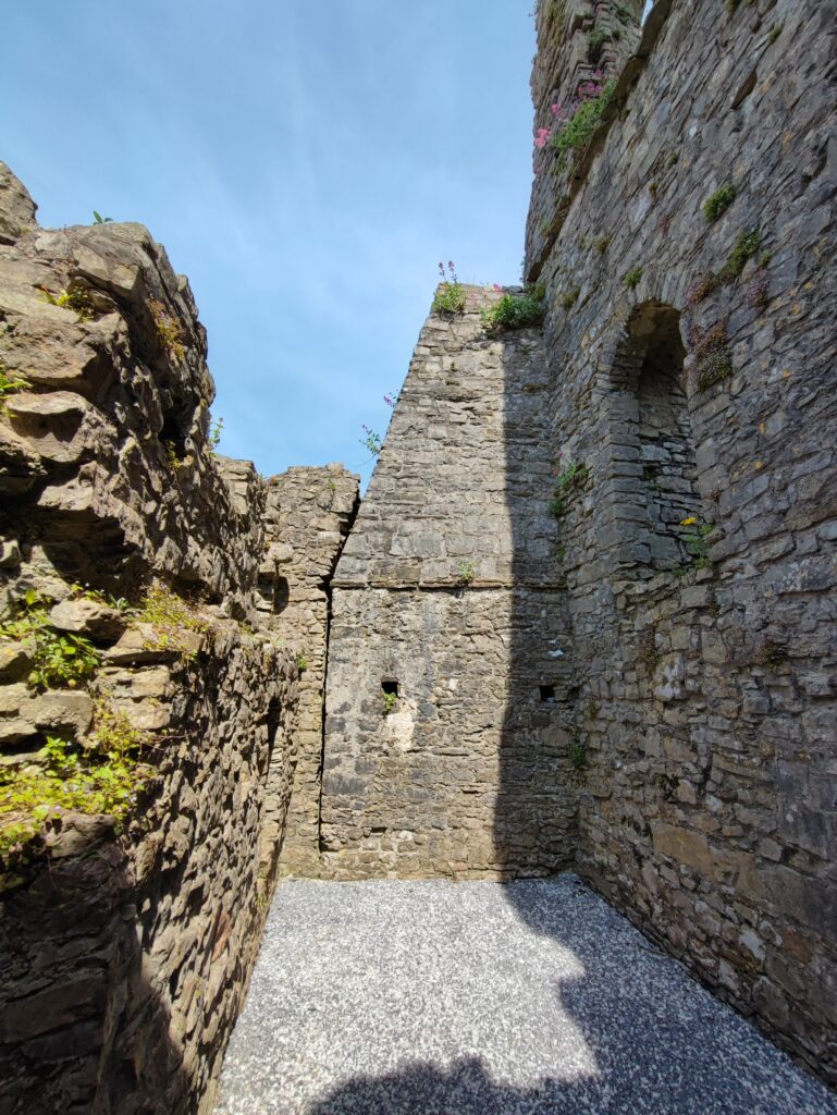 Wales Tag 8 – Oystermouth Castle