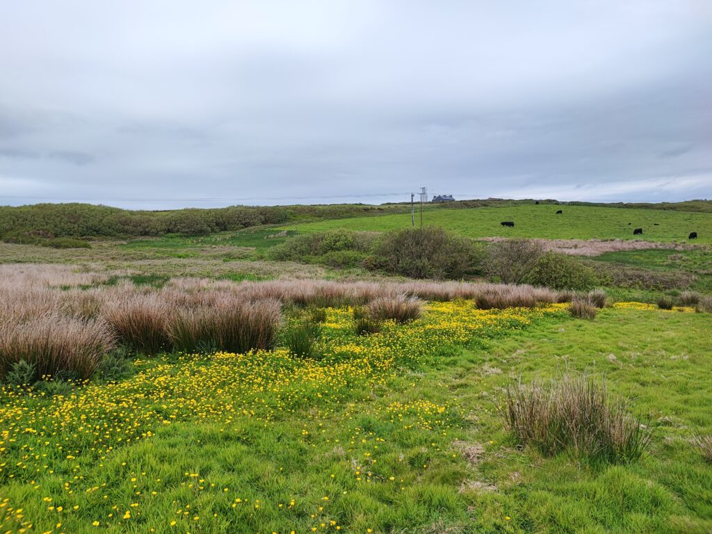 Wales Tag 11 – Pembrokeshire Coast National Park – Maidenhall / Southwood Estate