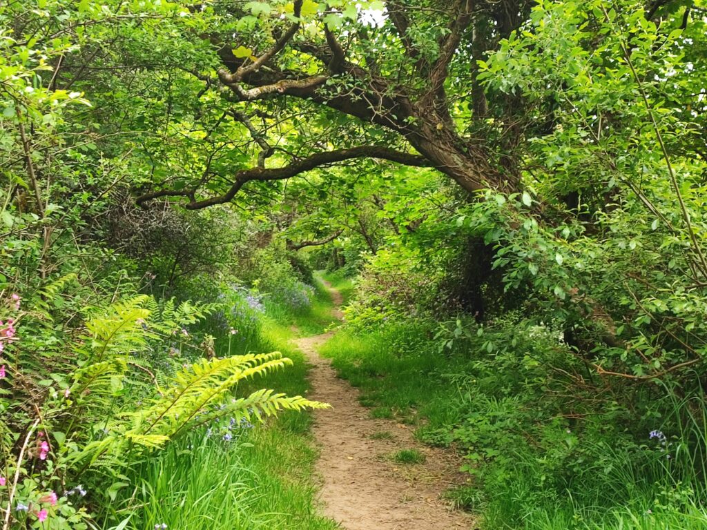 Wales Tag 11 – Pembrokeshire Coast National Park – Maidenhall / Southwood Estate