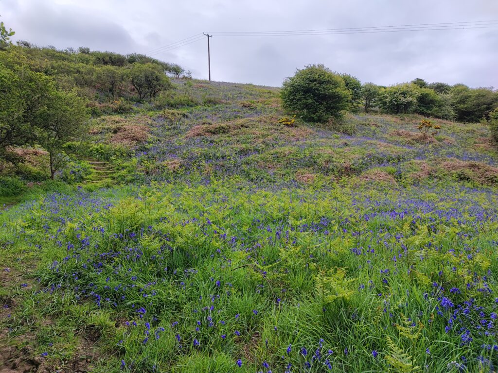 Wales Tag 11 – Pembrokeshire Coast National Park – Maidenhall / Southwood Estate
