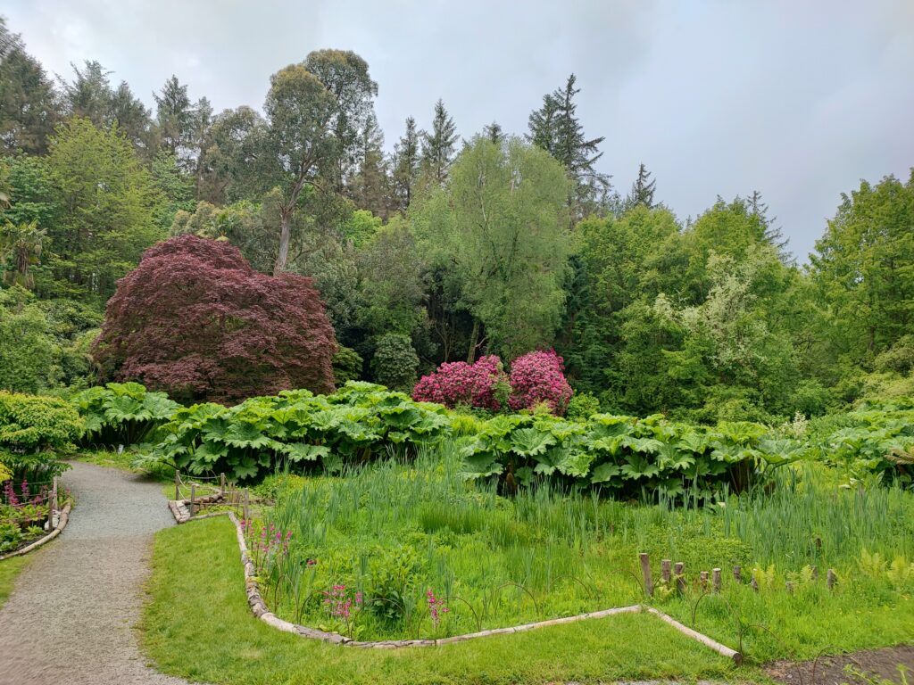 Wales Tag 18 – Penrhyn Castle