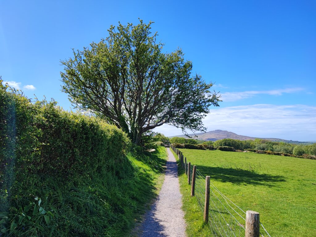 Wales Tag 12 – Pentre Ifan Burial Chamber