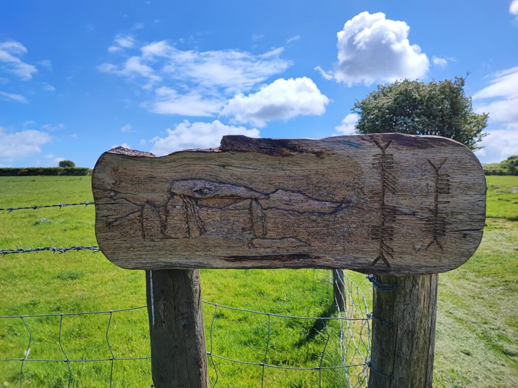 Wales Tag 12 – Pentre Ifan Burial Chamber
