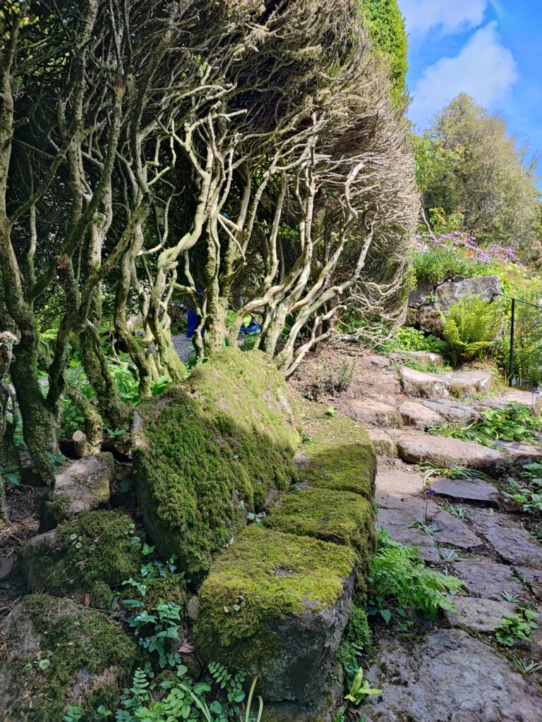 Wales Tag 16 – Plas yn Rhiw