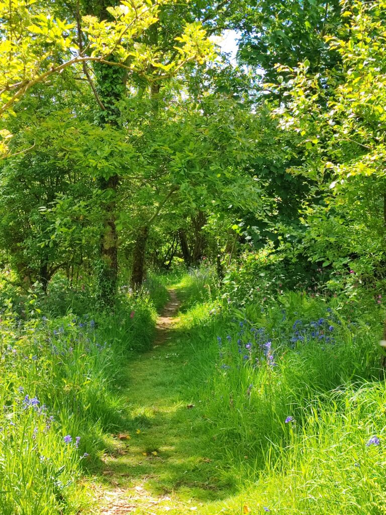 Wales Tag 16 – Plas yn Rhiw