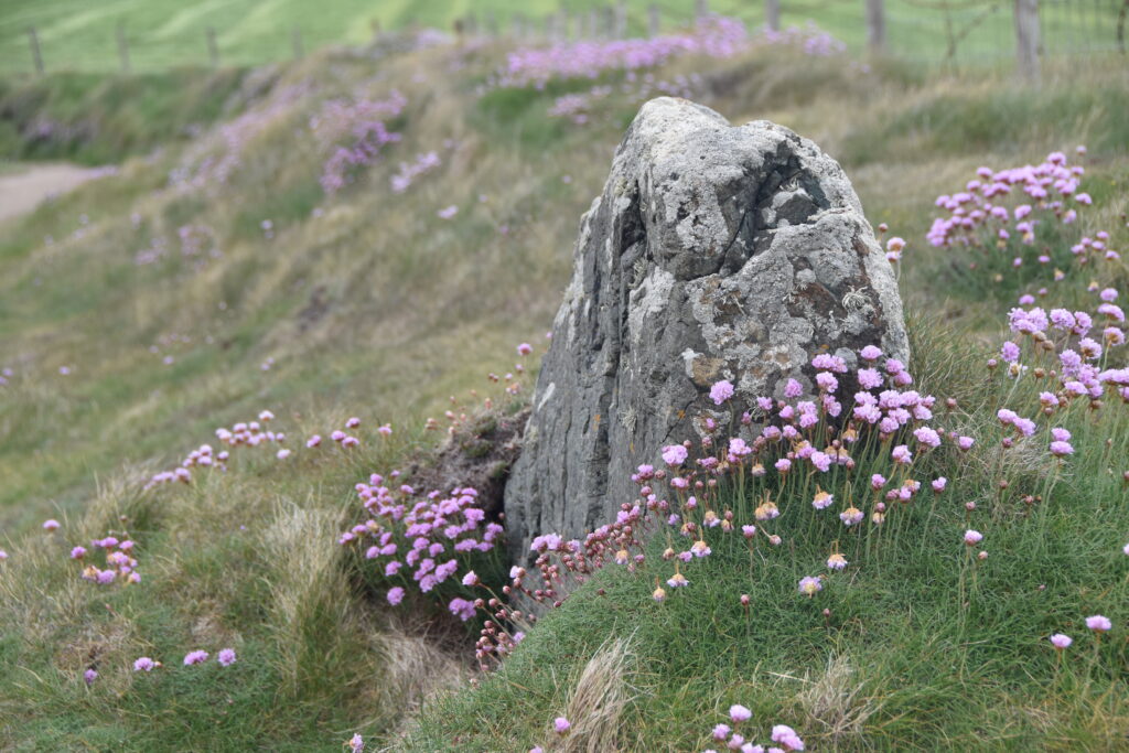 Wales Tag 17 – Anglesey – Dolmen und Hügelgräber