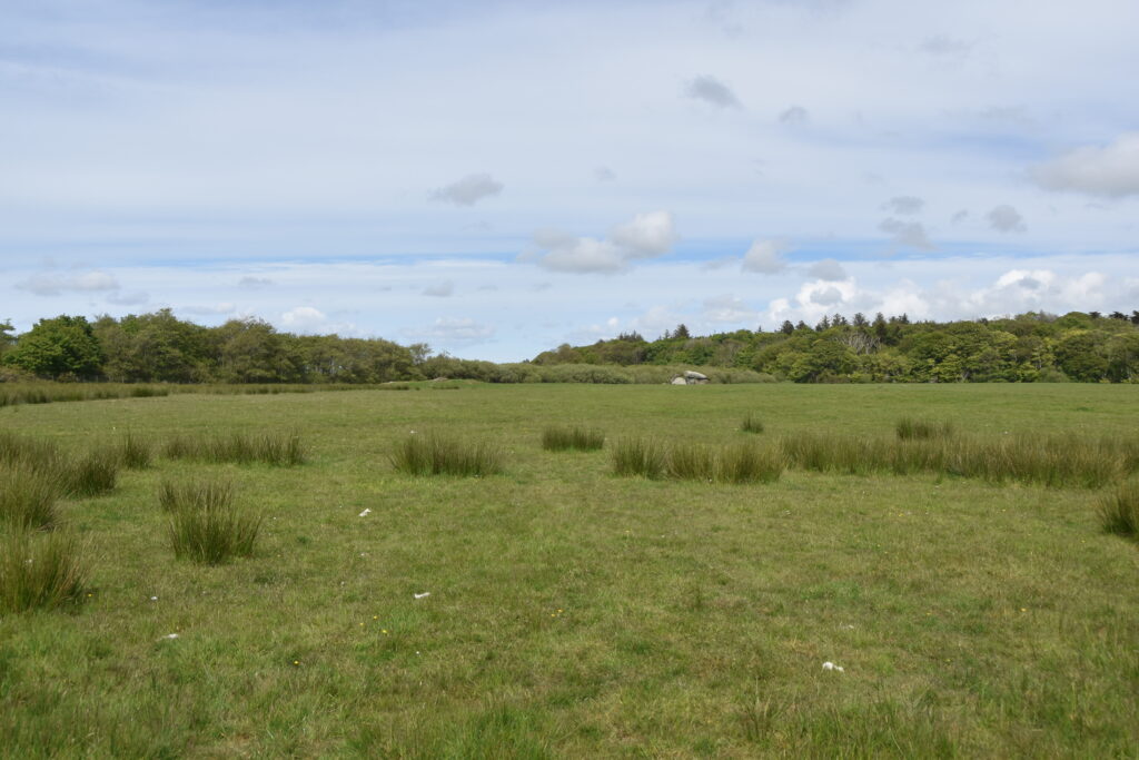 Wales Tag 17 – Anglesey – Dolmen und Hügelgräber