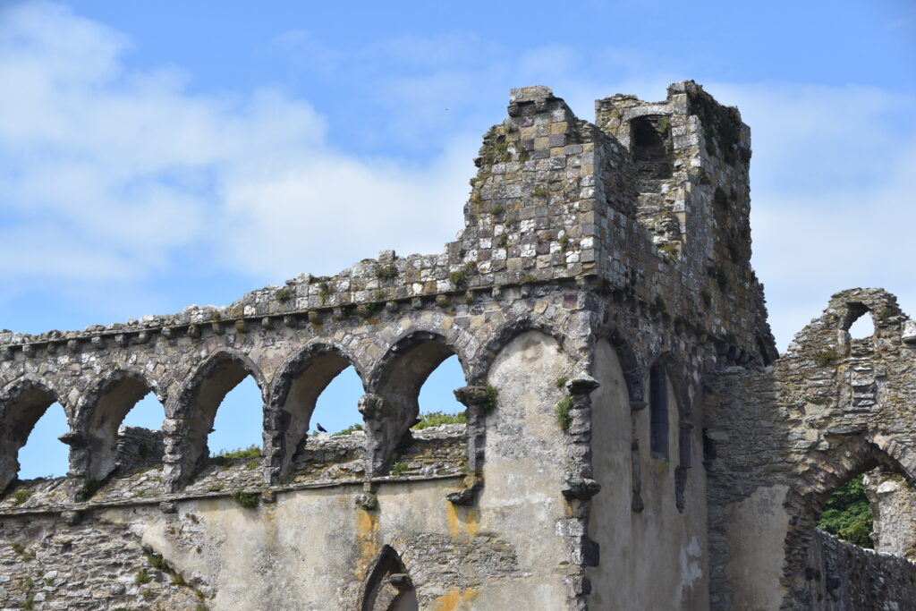 Wales Tag 11 – St Davids