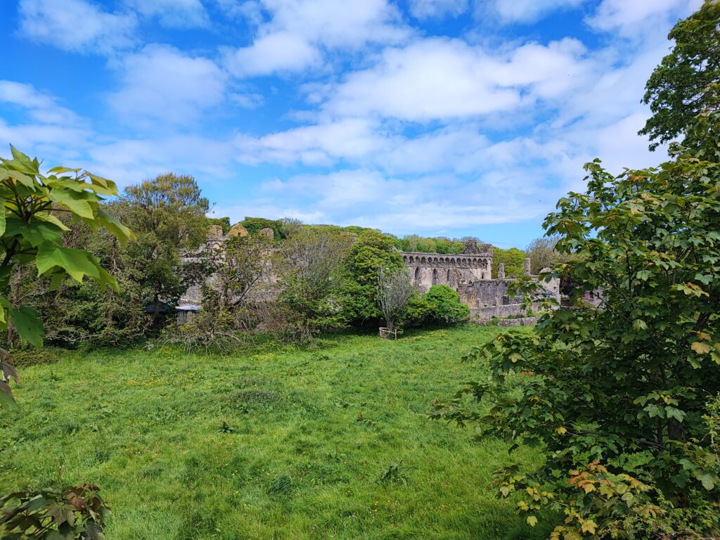 Wales Tag 11 – St Davids