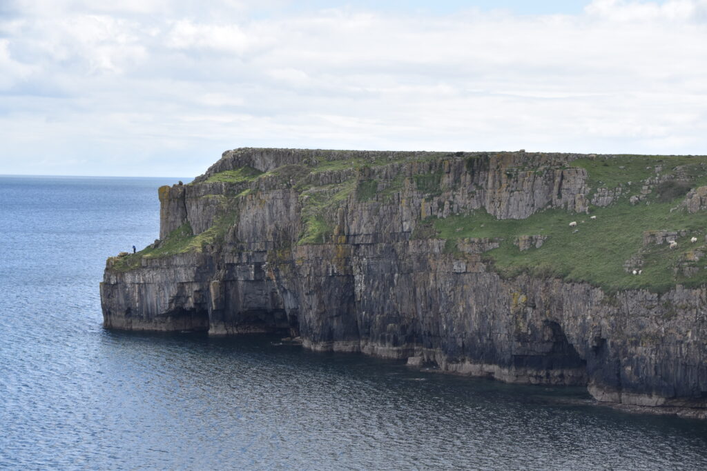 Wales Tag 10 – Stackpole