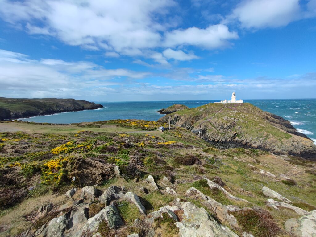 Wales Tag 12 – Strumble Head