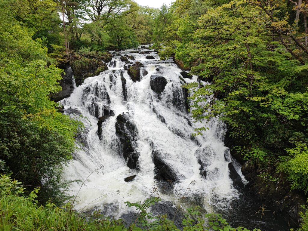 Wales Tag 20 – Swallow falls
