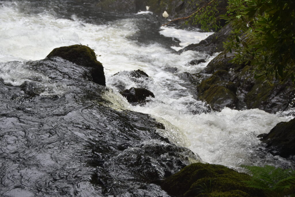 Wales Tag 20 – Swallow falls