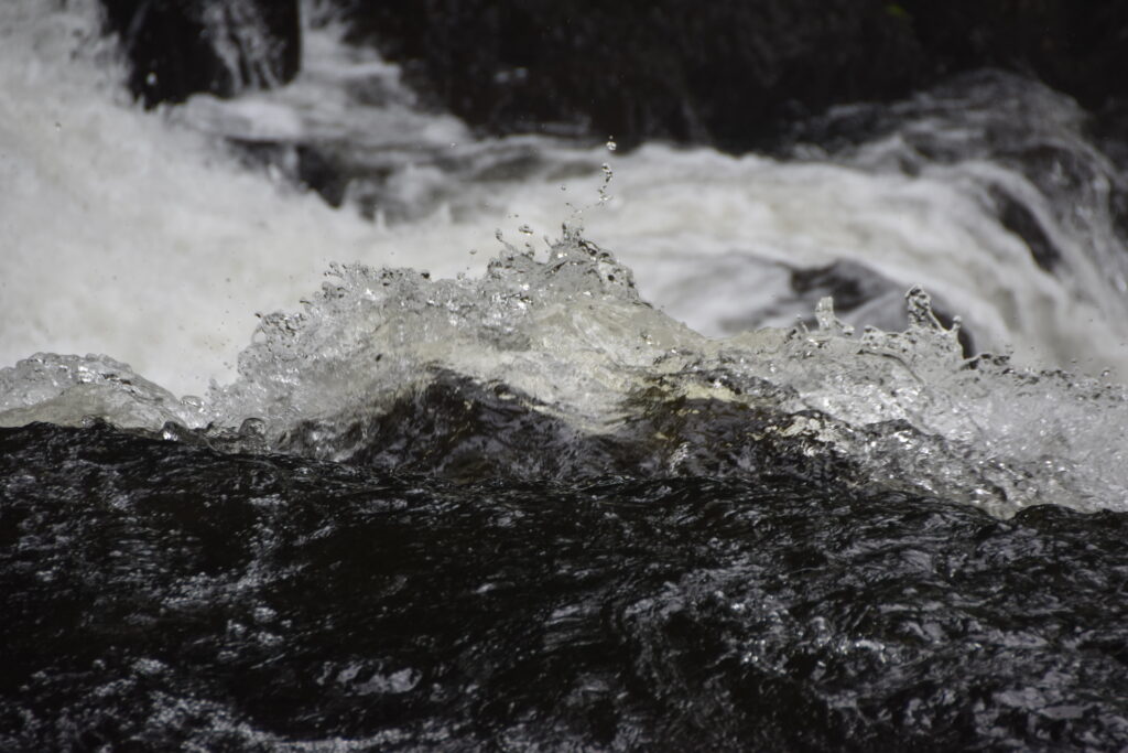 Wales Tag 20 – Swallow falls