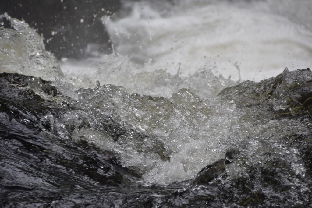Wales Tag 20 – Swallow falls