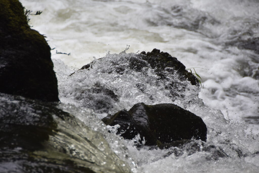 Wales Tag 20 – Swallow falls
