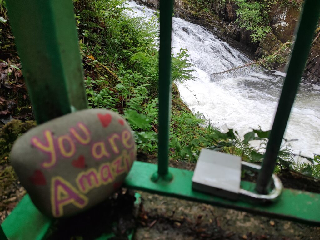 Wales Tag 20 – Swallow falls
