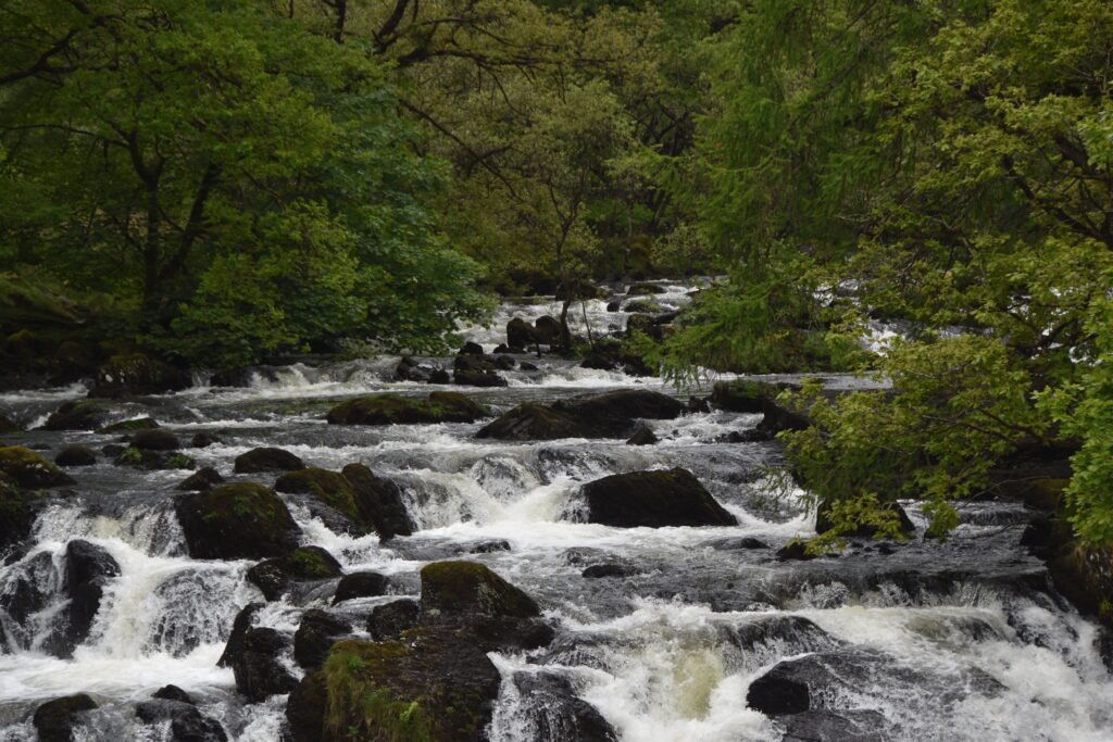 Wales Tag 20 – Swallow falls