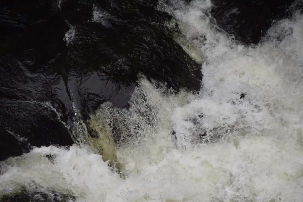 Wales Tag 20 – Swallow falls