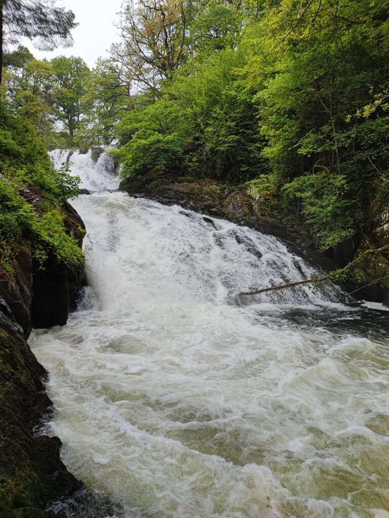 Wales Tag 20 – Swallow falls