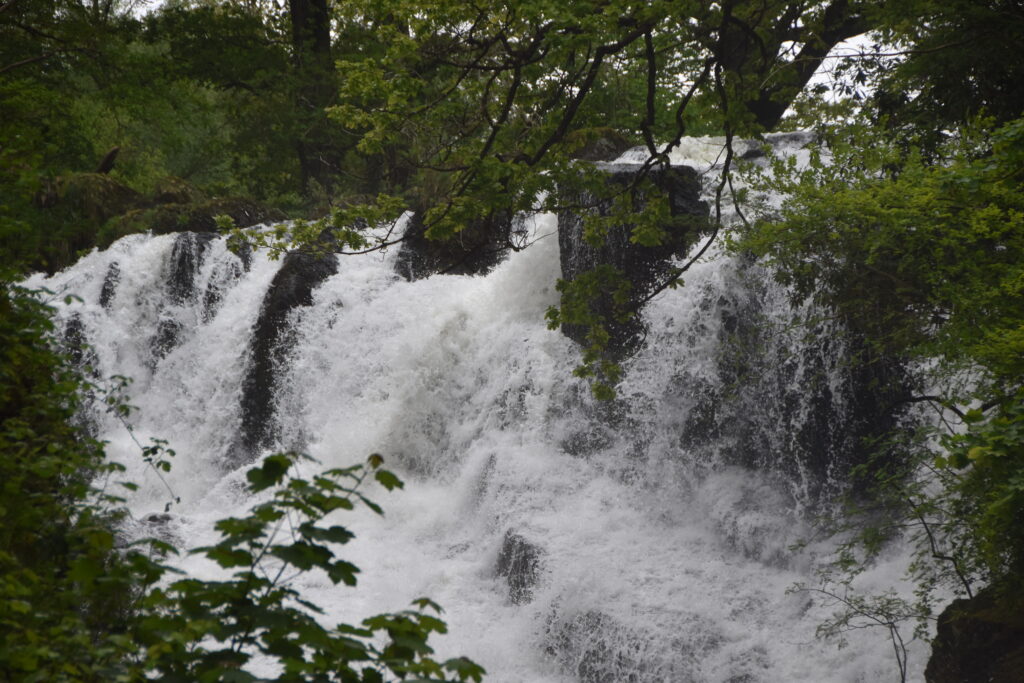 Wales Tag 20 – Swallow falls