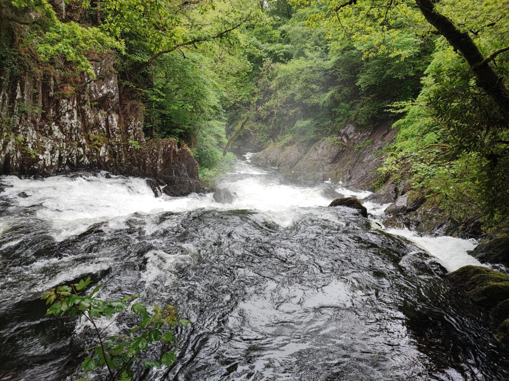 Wales Tag 20 – Swallow falls