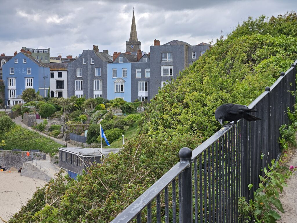 Wales Tag 9 – Tenby