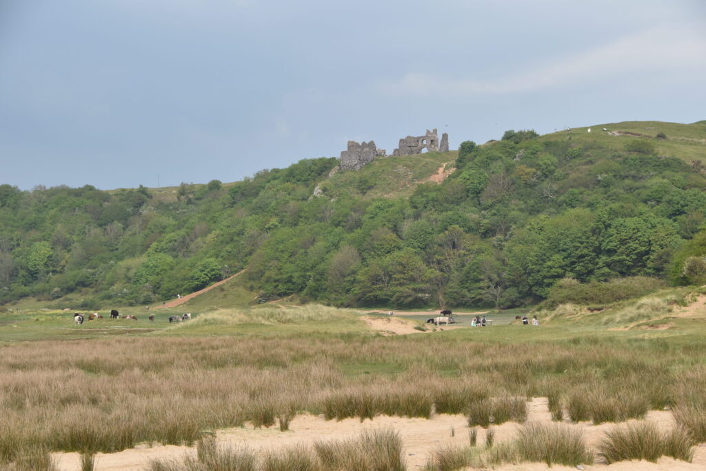 Wales Tag 8 – Three Cliffs Bay mit Pennard Castle