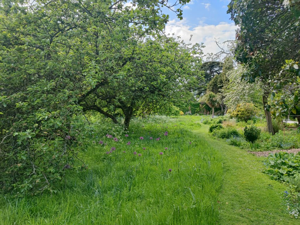 Wales Tag 5 – Tredegar House