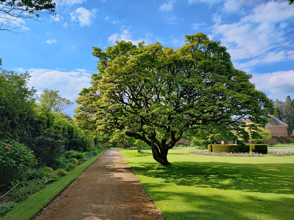 Wales Tag 5 – Tredegar House