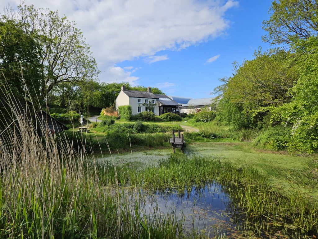 Wales Tag 12/13 – Wildernest