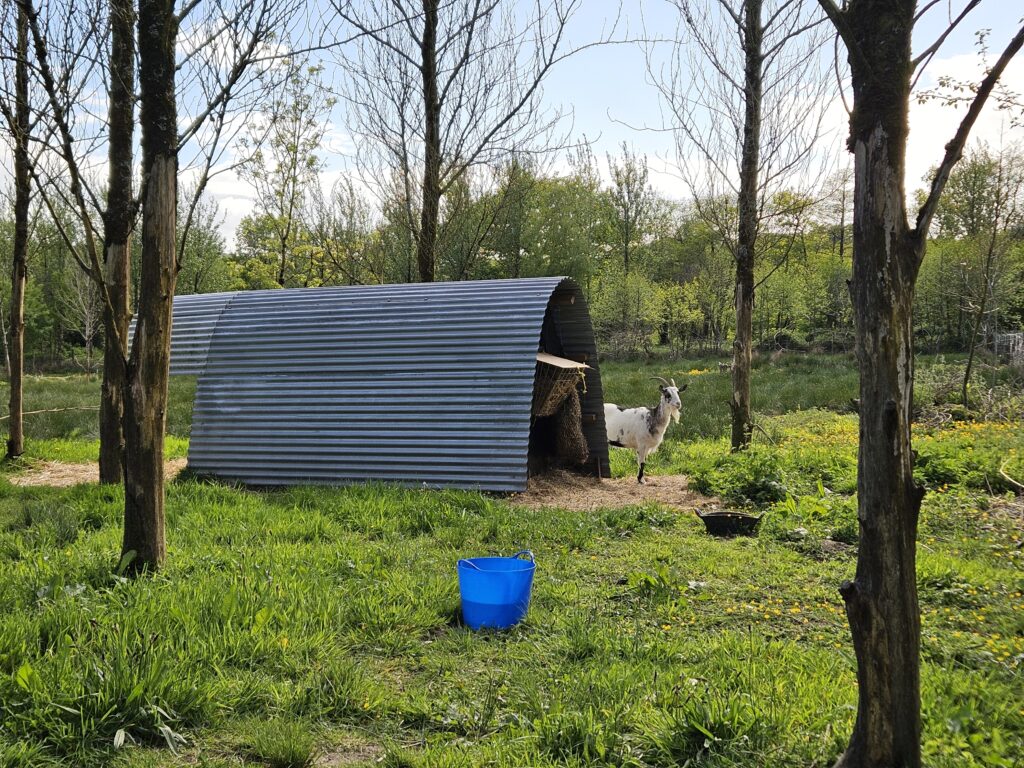 Wales Tag 12/13 – Wildernest