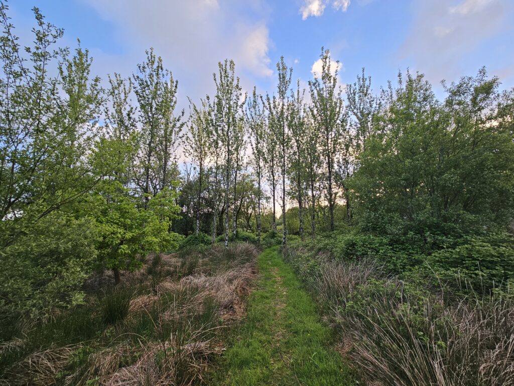 Wales Tag 12/13 – Wildernest