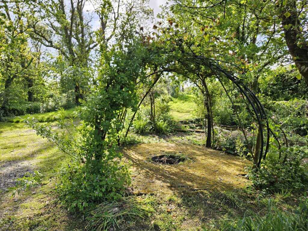 Wales Tag 12/13 – Wildernest